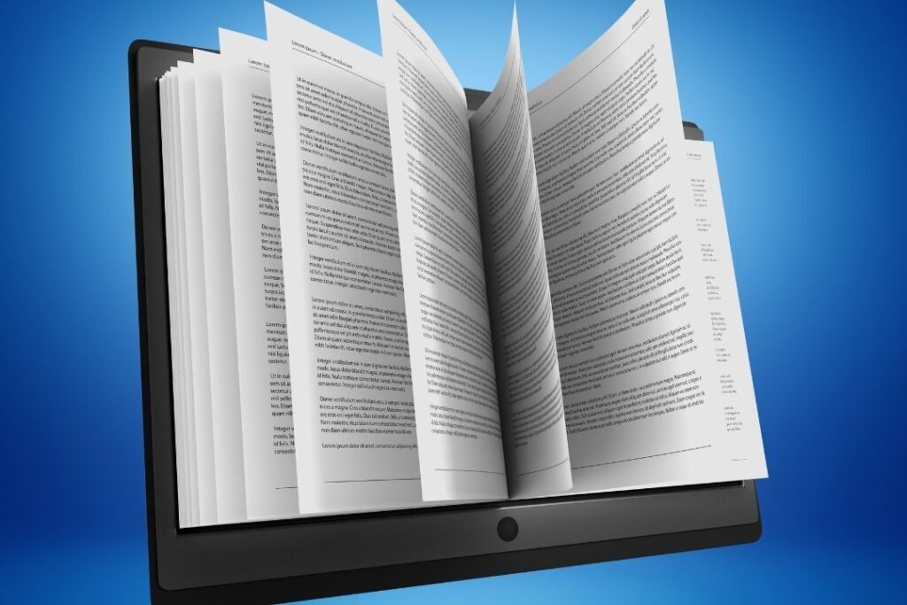 E-Defter 3